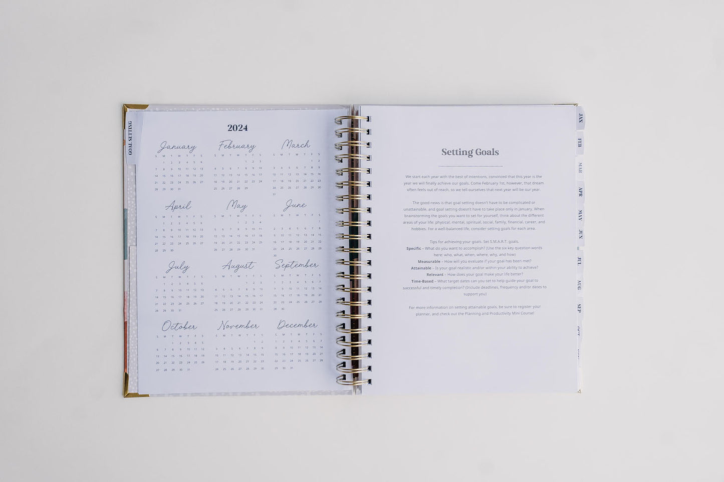 2024 Premium Sage Linen Planner